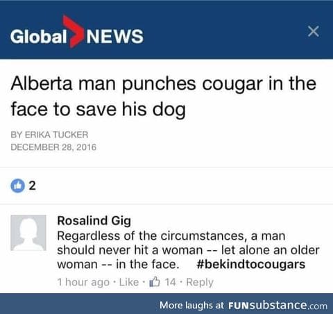 "Cougar"