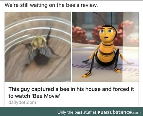 Buzz buzz