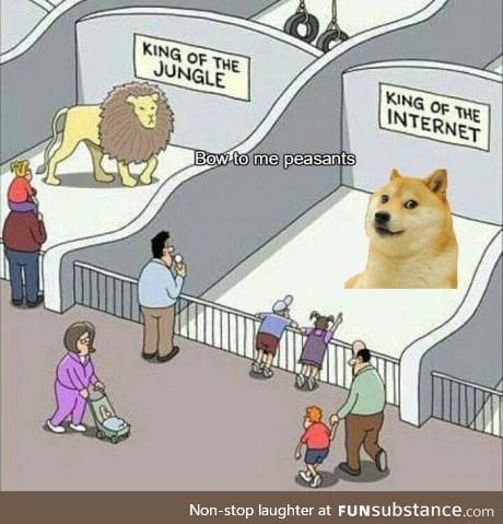 Heil doge