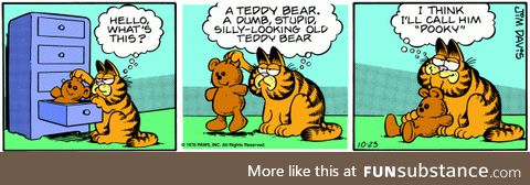 Garfield meets Pooky