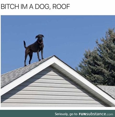Roof woof motherf*cker