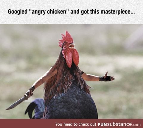Angry chicken