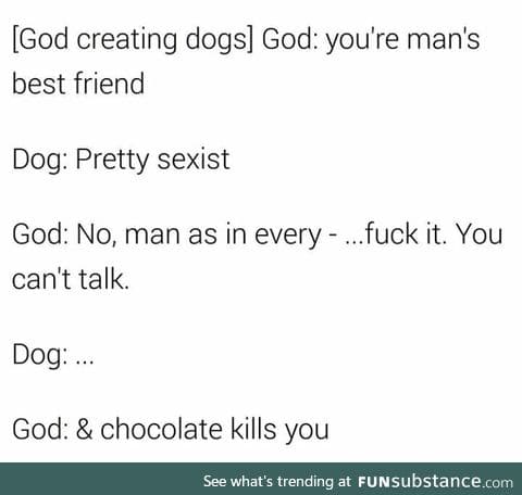 Silly doggo