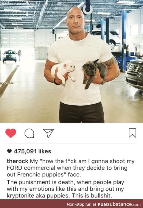 I would die for The Rock