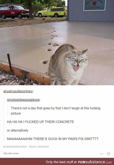 Cats