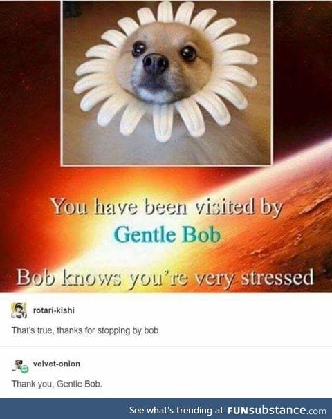 Gentle Bob cares about you, please be kind to yourself