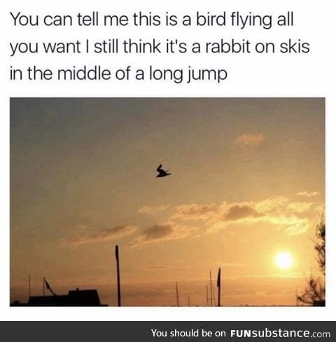 It's a bird, it's a plane, it's a.. wait?!