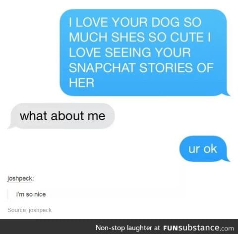 Way to a girl's heart: through pets and memes