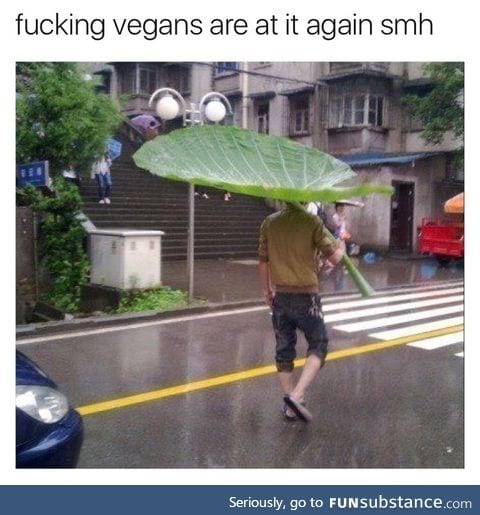 Organic umbrealla