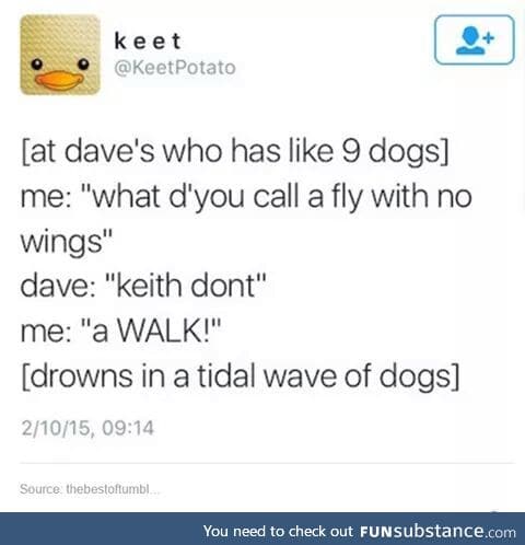 Doggo wave