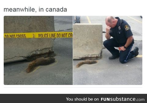 Canada being Canada.