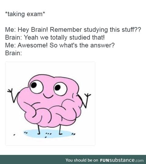 Thank you, Brain.