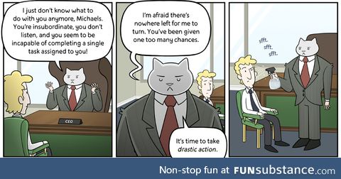 The Adventures of Business Cat
