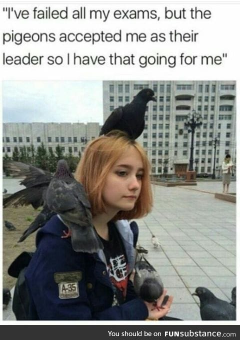 Pigeon leader