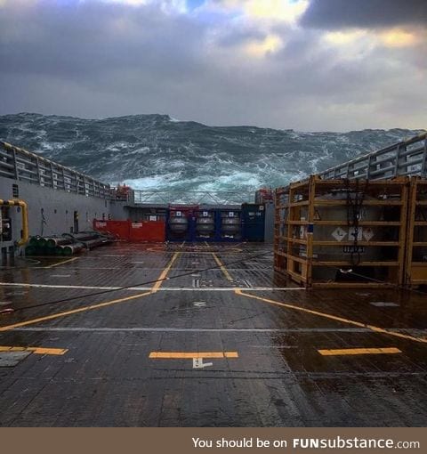 Extreme waves in the North Sea