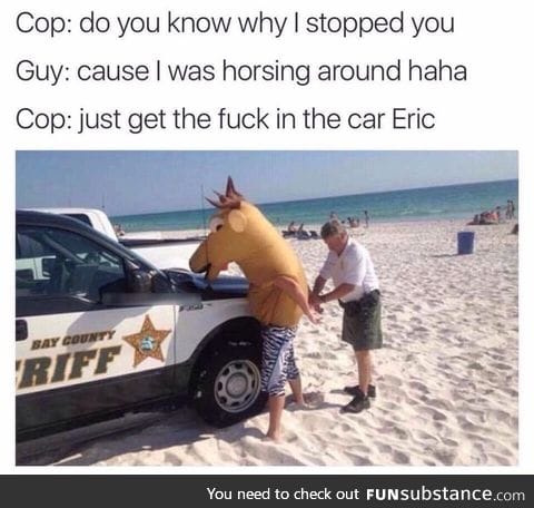 Horse arrested