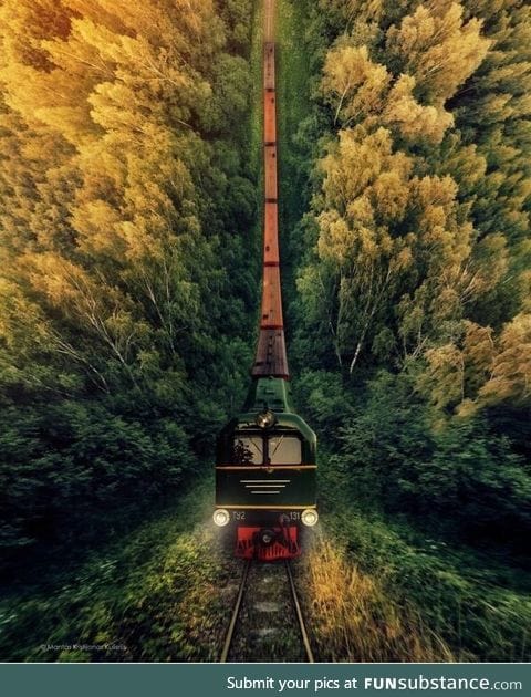 Train ride through the woods