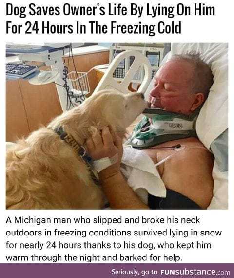 Dog saves life again