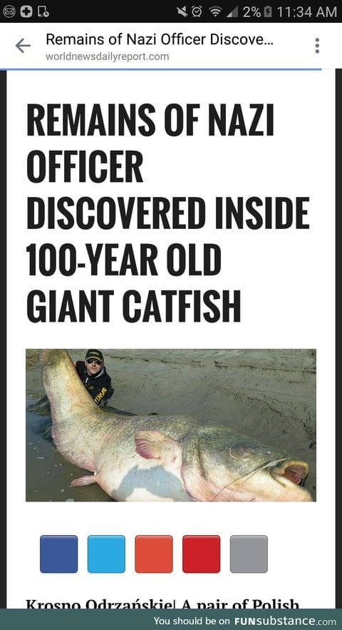 Comrade catfish