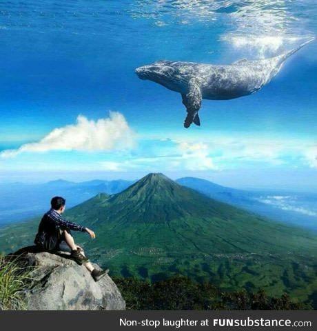 Look at this skywhale!