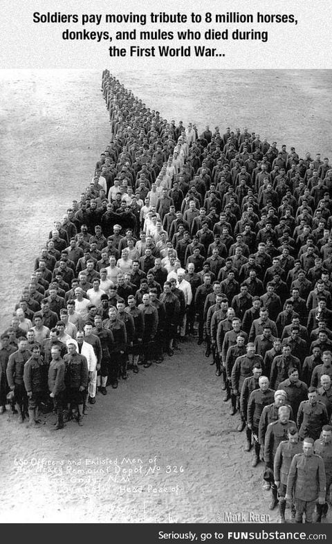 Soldiers paying tribute