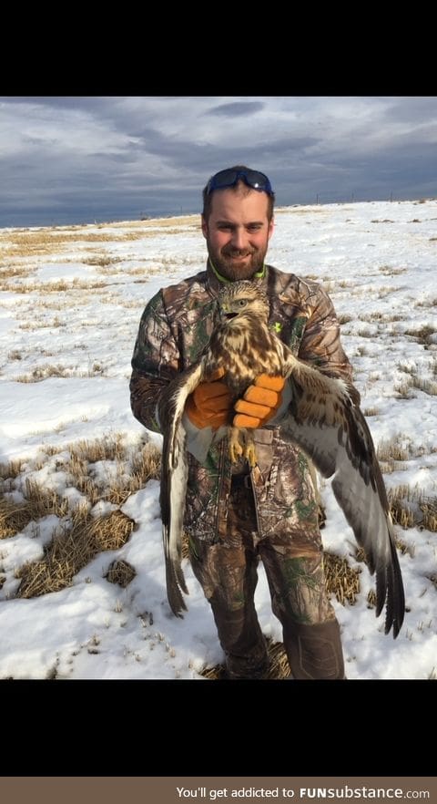 Found a grounded hawk, after a few minutes she flew off