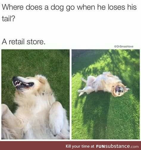 Punny doggo