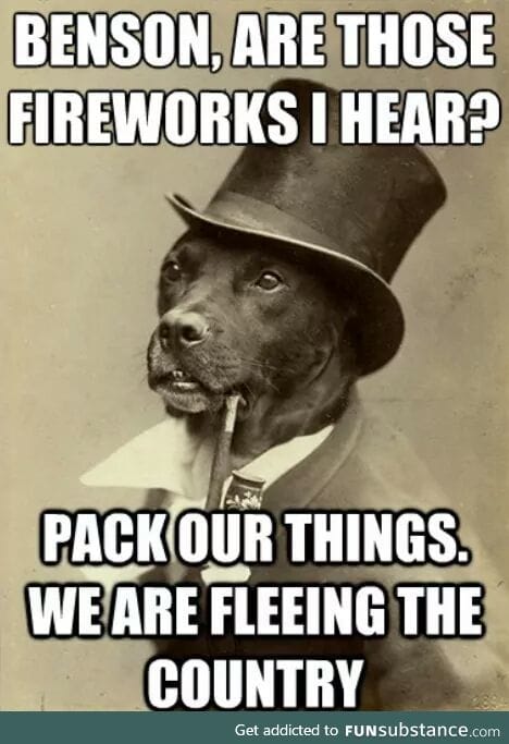 I feel so bad when my dog gets scared by fireworks