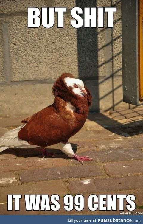 Pigeonmoore