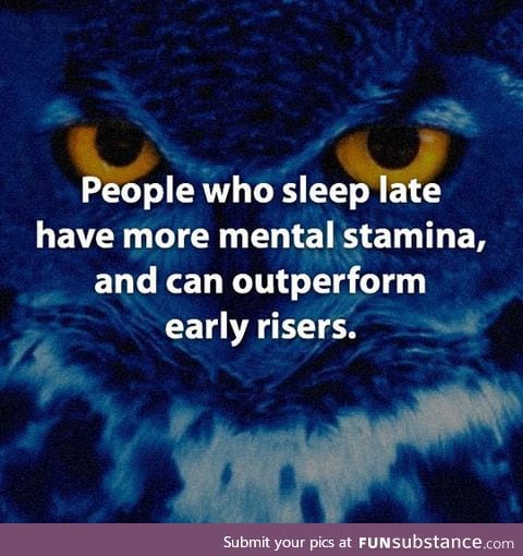 Fun fact about night owls