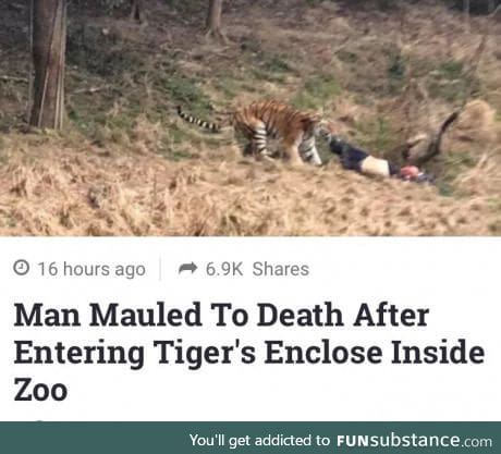 Roses are red. Panda's eat bamboo