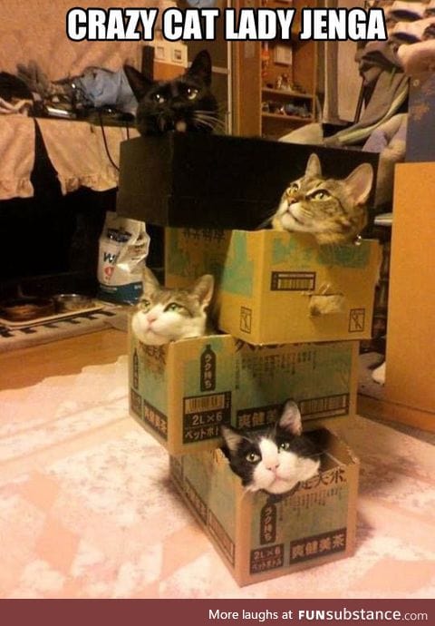 How crazy cat ladies play jenga