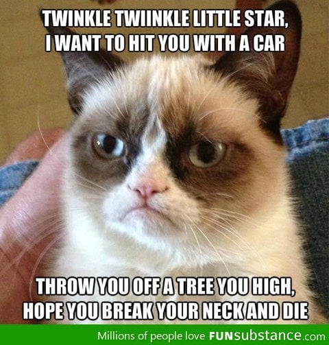 Twinkle Twinkle Grumpy Cat