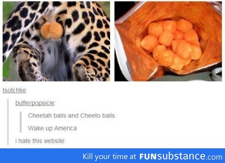 Cheetah ball