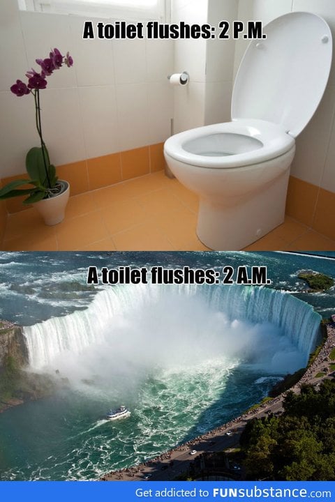 Niagara Falls Toilet