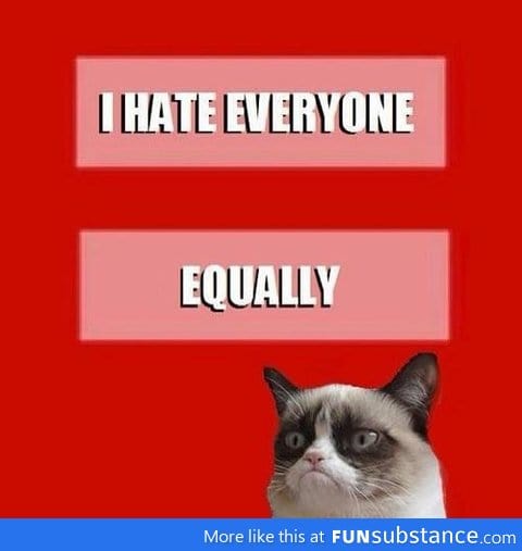 Grumpy Cat on Equality
