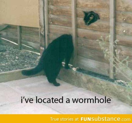 Wormhole