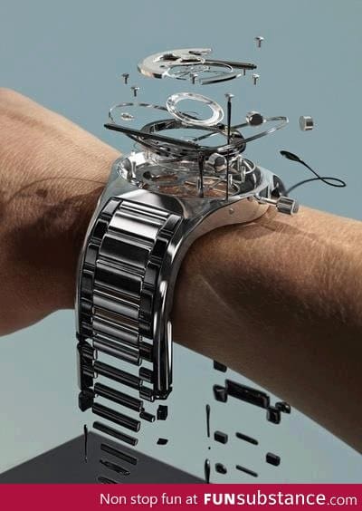 Explosion of a wrist watch