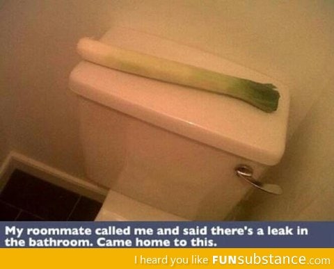 There's a leak in the Bathroom!