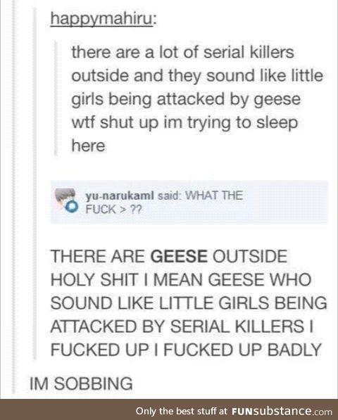 Serial killers and geese