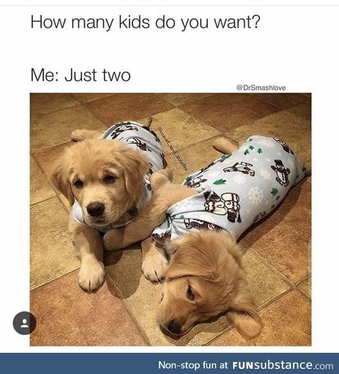 Puppies are better than human babies