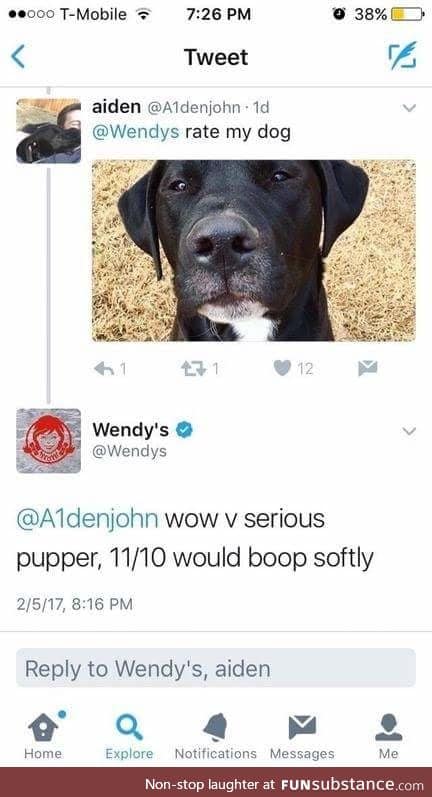 I would boop the heck outta that pupper