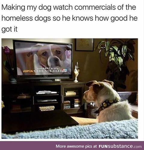 I hate those commercials