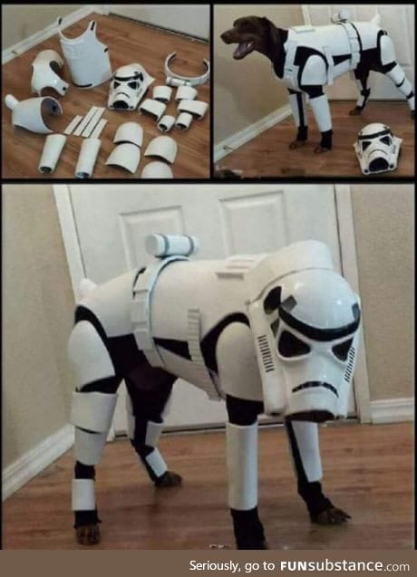 Star Wars K-9 unit