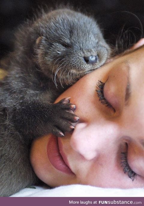 Her significant otter