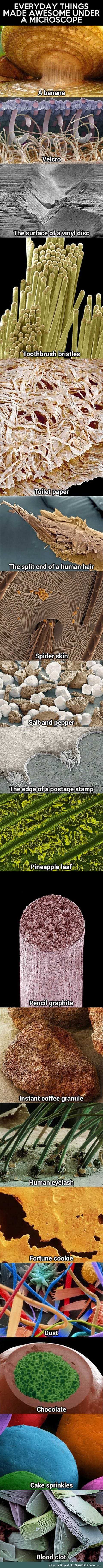 Everyday things under a microscope
