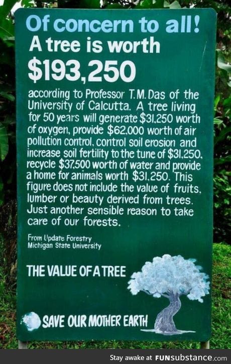 Value of a tree