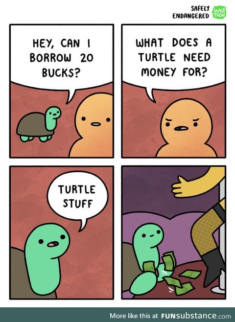 Turtle things