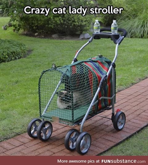 Stroller for cat people