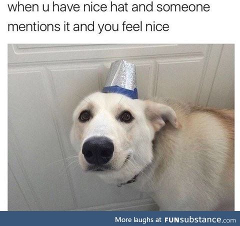 Hat pupper, vv nice, 10/10 would pet